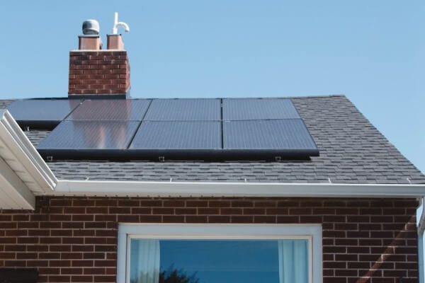PEST CONTROL LUTON, Bedfordshire. Services: Solar Panel Bird Proofing. Protect Your Solar Panels with Effective Bird Proofing Solutions in Luton by Local Pest Control Ltd